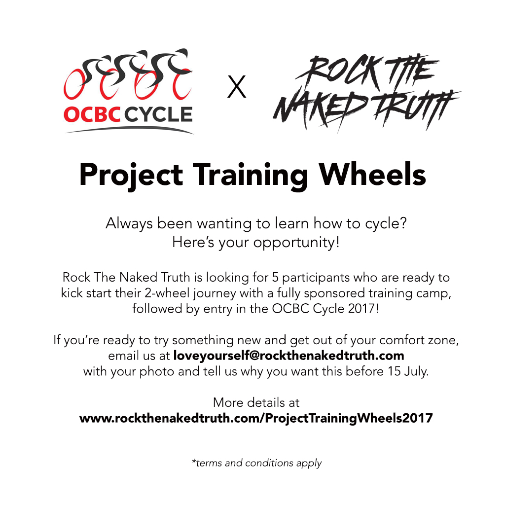 Project Training Wheels 2017